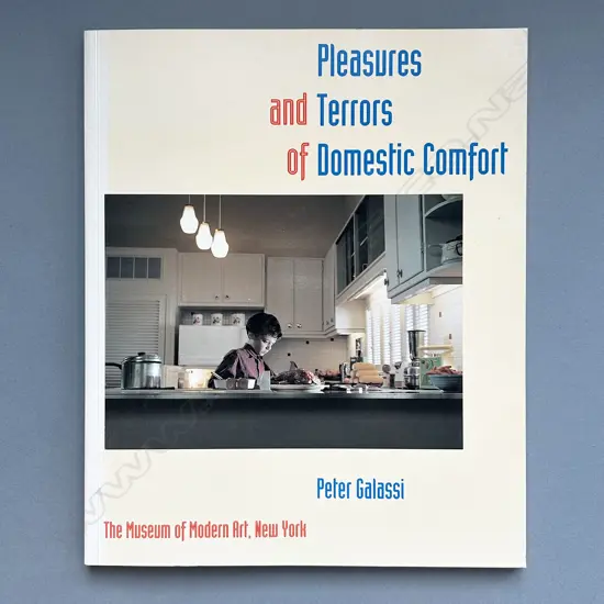 PETER GALASSI: PLEASURES AND TERRORS OF DOMESTIC COMFORT